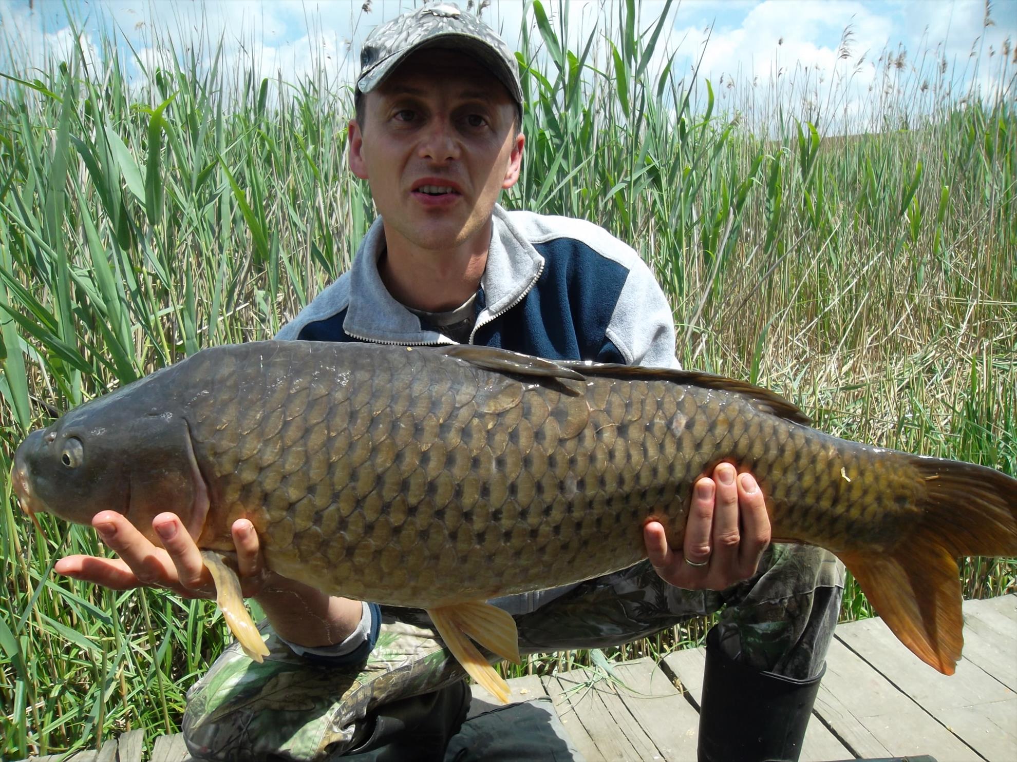 Diferite experiente - sam2992.JPG